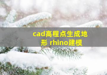 cad高程点生成地形 rhino建模